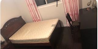 Shuning (Jane) You's room