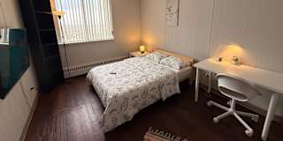 ezel's room