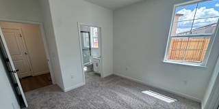Mehrdad's room