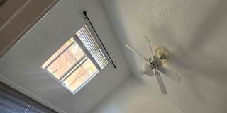 Ellie's room