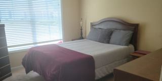KATHY's room