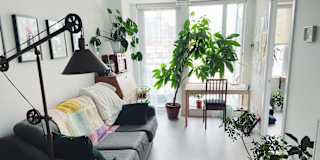 Annie's room