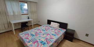 Alice's room