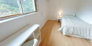 Shirin's room