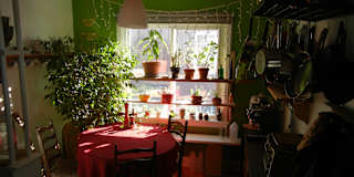 Experimental Farm's room