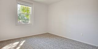 Harvey's room