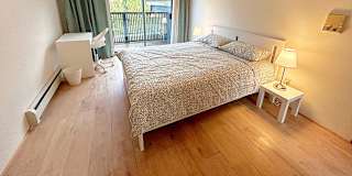 Shirin's room