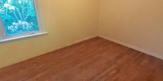 Lauren's room