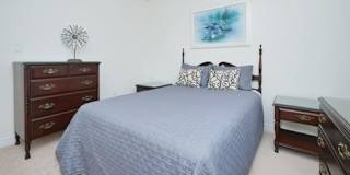 collin hackett's room