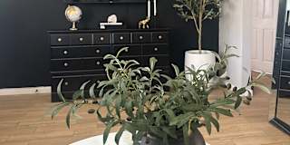Selena's room