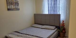 Nosheen's room