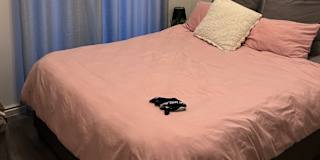 Angelique's room