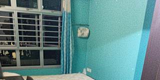 Shahin's room