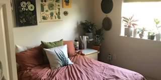 Jacob's room