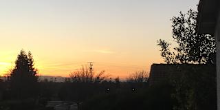 Darion's room