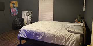 Mark's room
