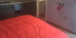 Roy's room