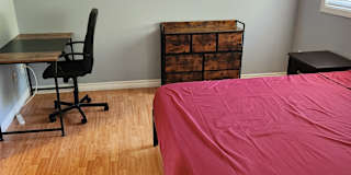 Lou's room
