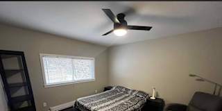 Shelly's room