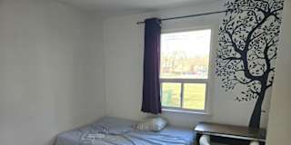 Petra's room