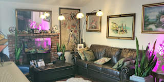 Edna's room