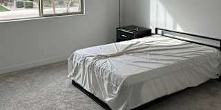 Lib's room