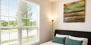 Abi's room