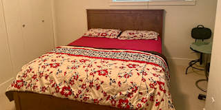 Lily's room
