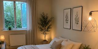 ileana pereria's room