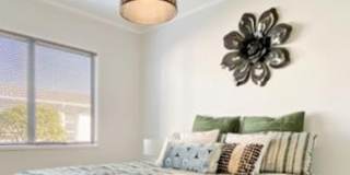 Orls's room