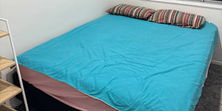 Shynal's room