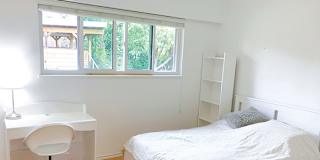 Shahram's room