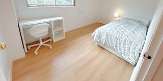 Shirin's room