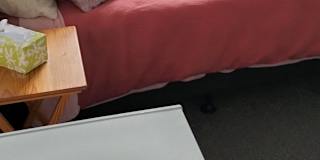 Shaina's room