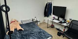 Tiffany's room