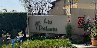 Palesa's room