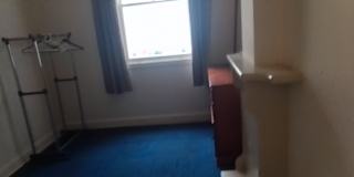 Noah's room
