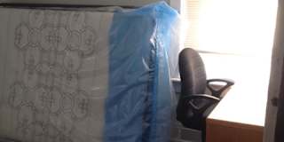 Amy's room
