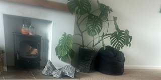 Caz's room