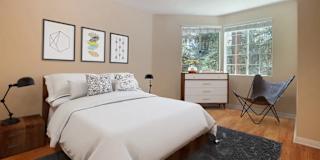 PRIVATE BEDROOM RENT's room