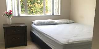 Vivek Raturi's room