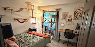 London's room