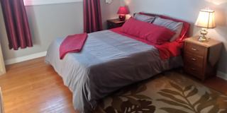 Antonia's room