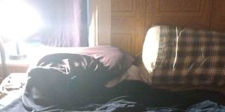Cat Pasquale's room