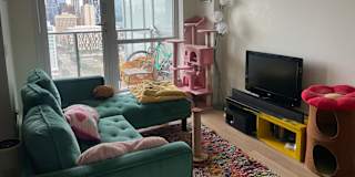 Alison Elewa's room