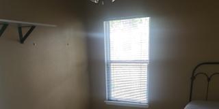Robert's room