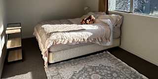 Cherry's room