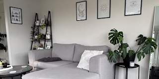 Sommer's room