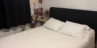 Jasmine's room