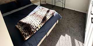 Shayal's room